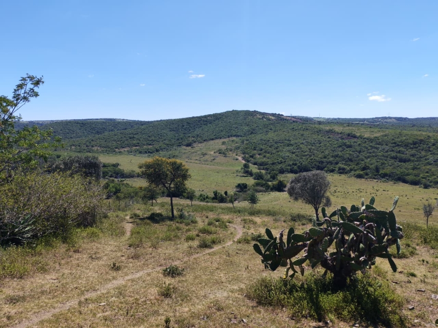 Commercial Property for Sale in Komga Rural Eastern Cape